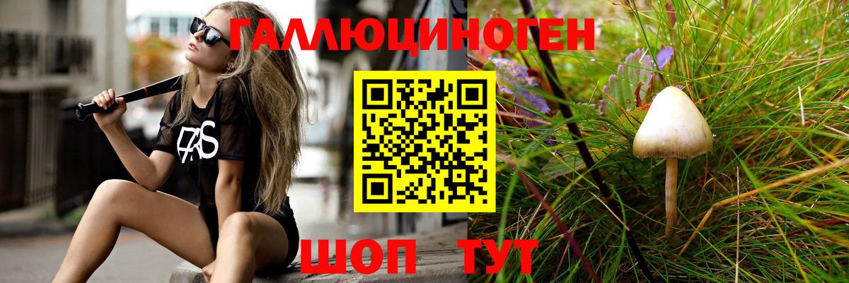 Галлюциногенные грибы GOLDEN TEACHER  Вход с VPN  Видное 