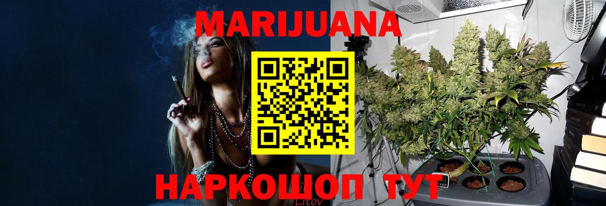 Канабис гибрид Видное